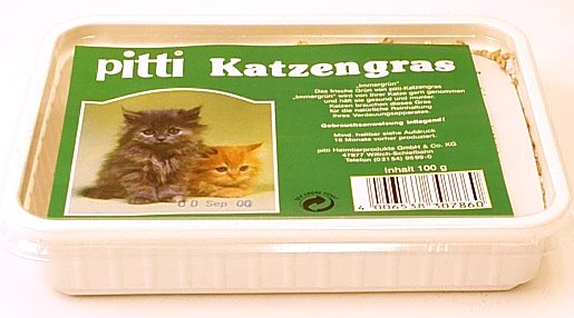 Herbe � chat en barquette Pitti - 100 g chez Zooplus FR - BE