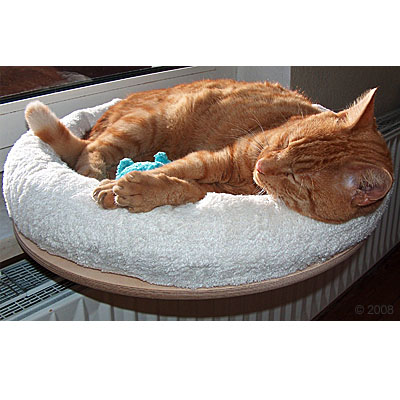 Coussin de fen�tre Snugly - taille : env. 47 cm