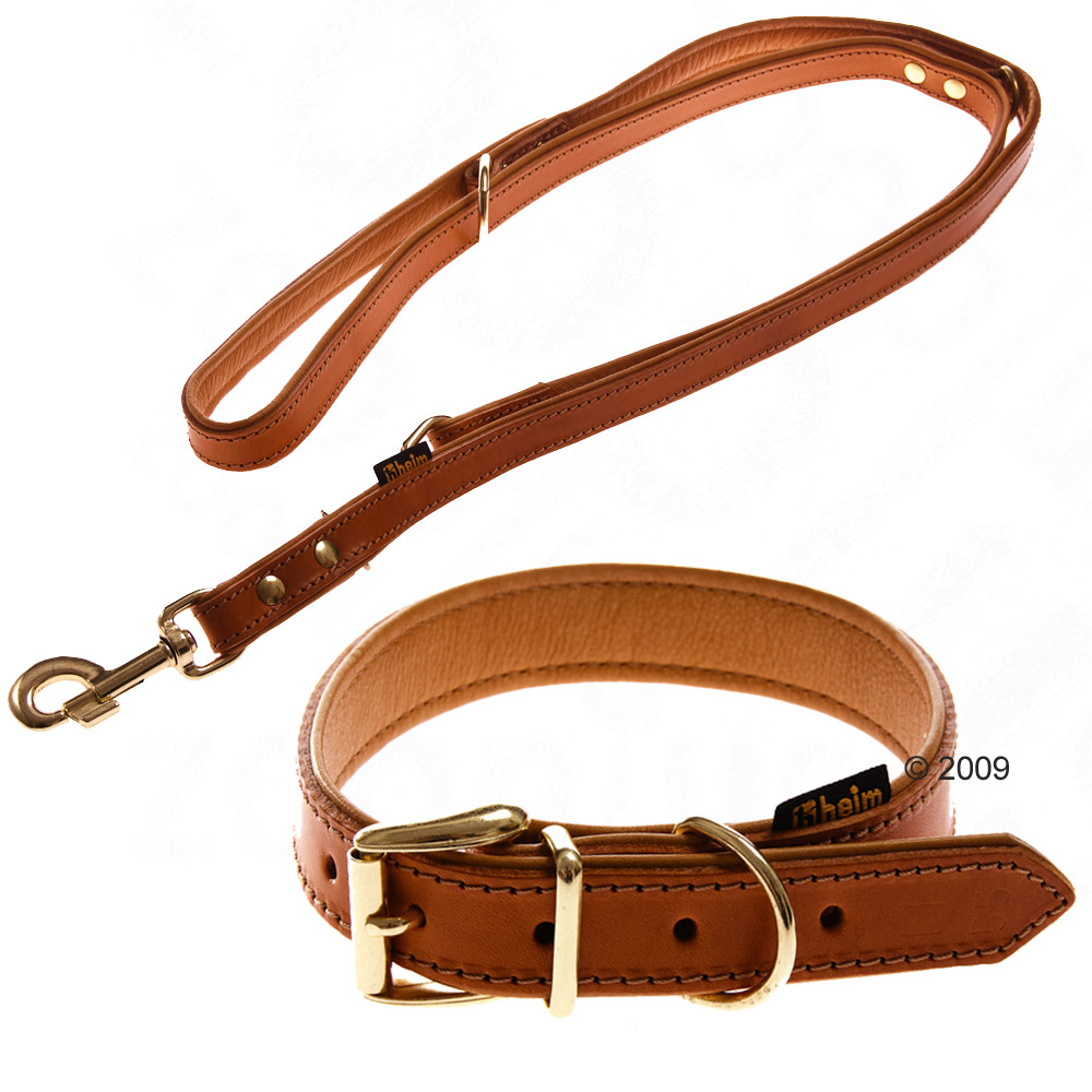 Collier & laisse en cuir Buffalo, cognac - collier L 55 cm x l 2,5 cm + laisse