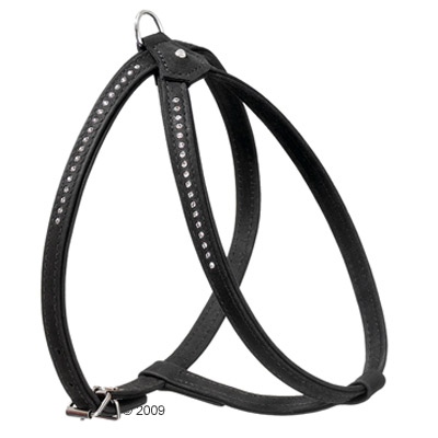 Harnais en cuir buffle Buffalo Strass - tour de poitrail 50 - 57 cm, largeur 1,6 cm