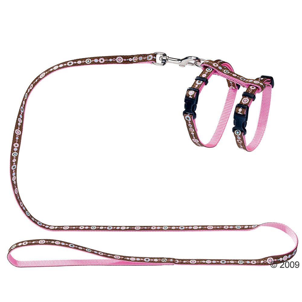 Harnais Hunter pour chat ou chiot - avec motifs circulaires