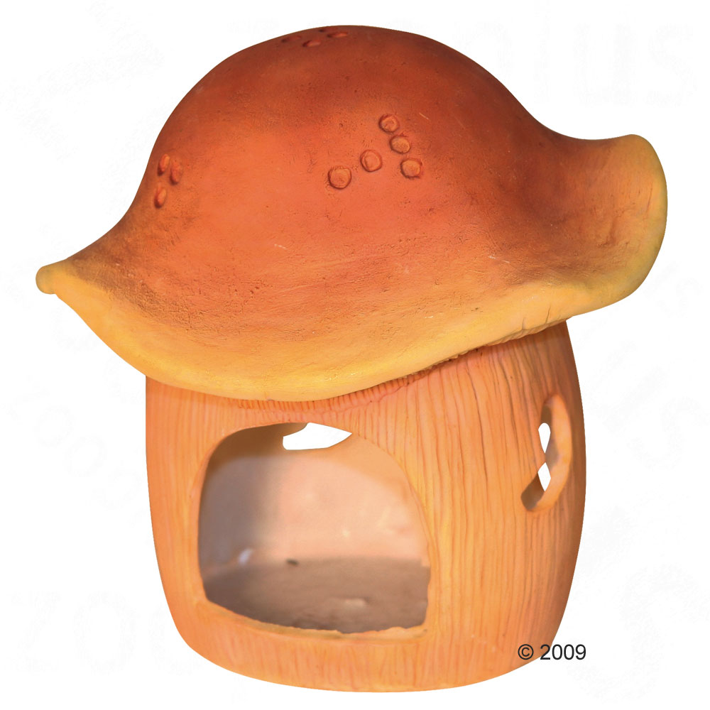 Maison Funghi pour petit rongeur - L 14 x l 14 x H 13 cm environ