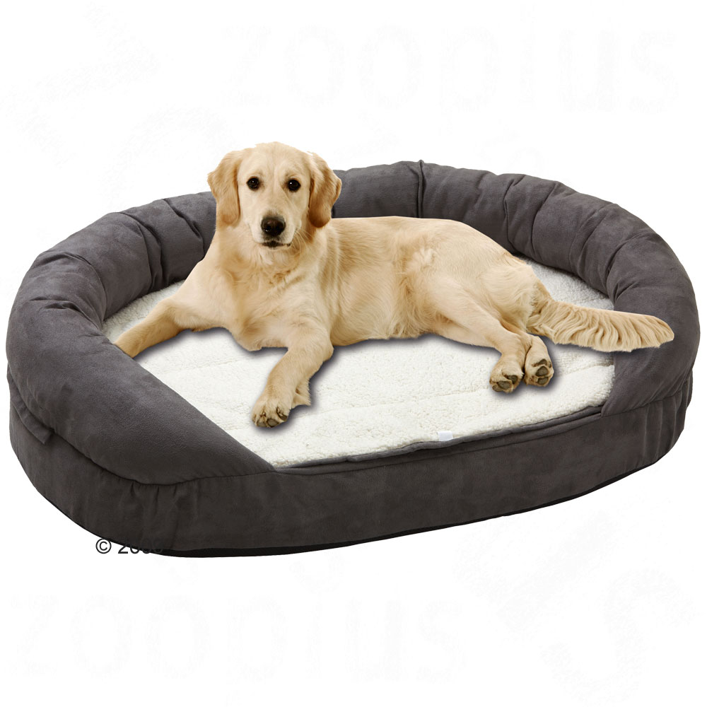 Coussin ovale OrthoBed - L 72 x l 50 x H 20 cm environ