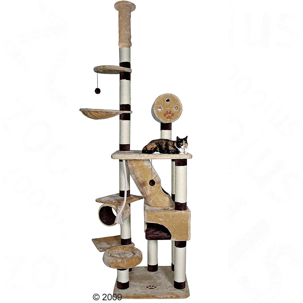 Arbre � chat Belorado - beige / marron