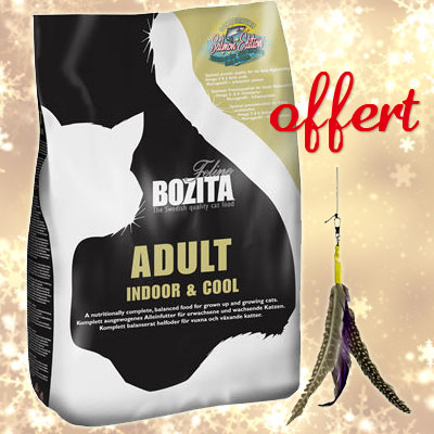 Croquettes Bozita Feline 2 x 2 kg + Canne � p�che Bird ! - kitten Alive & Kicking