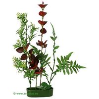 Comparez les prix Composition de plantes 2 - h 15 cm