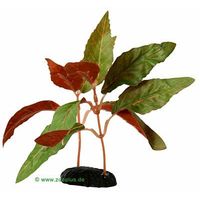 Comparez les prix Alternanthera - plante aquatique artificielle - h 15 cm