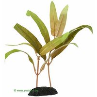 Ammannia - plante aquatique artificielle - H 30 cm