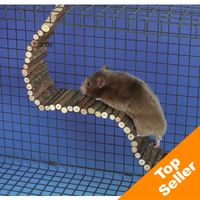 Comparez les prix Pont suspendu pour hamster - l 55 x l 7 cm