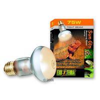 Comparez les prix Ampoule lumière du jour tight beam sun glo hagen exo terra - 75 w
