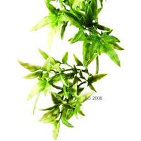 Comparez les prix Plante en plastique croton hagen exo terra - dimensions: longueur 45 / diamètre 13 cm