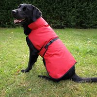 Manteau pour chien Authentic Red - taille 35 : longueur du dos 35 cm