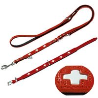 Lot �conomique Hunter: collier+ laisse Hunter Swiss - - collier taille 60 + laisse L 200 x l 1,8 cm