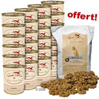 Terra Canis 24 x 800g + 500 g de biscuits Terra Canis Bravos - - dinde, pommes de terre, l�gumes et poires
