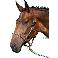 Comparez les prix Kit longe et licol usg en vogue - set licol et longe brun, cheval