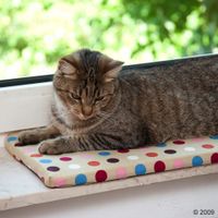 Tapis de fen&ecirc;tre Corduroy - L 60 x l 26 x H 2 cm