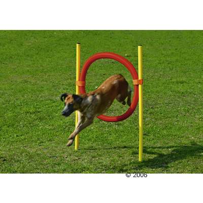 Lot de pneus d'agility - - 1 pneu et ses accessoires