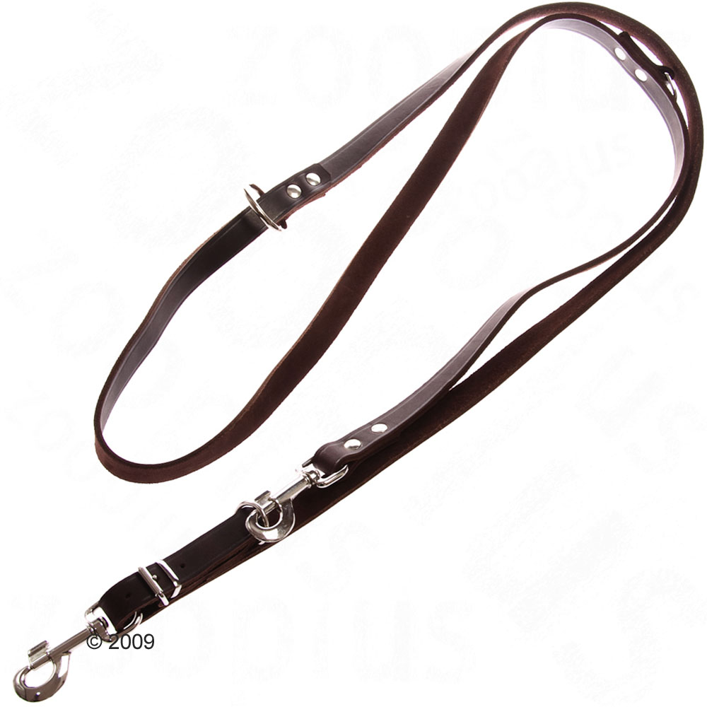 Laisse r�glable et rivet�e - L 240 x l 2 cm
