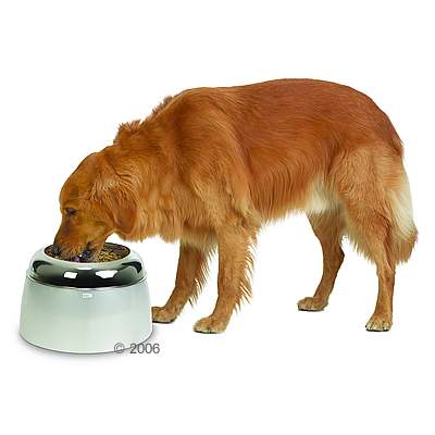 Gamelle sur�lev�e Hagen Dogit - blanc translucide / argent