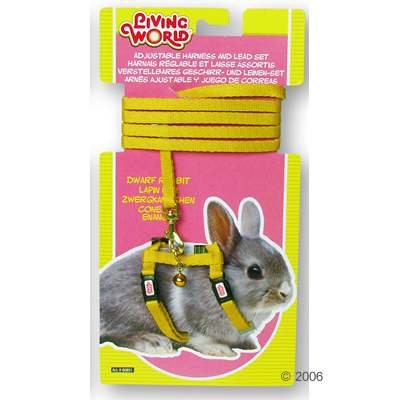 Parure Hagen harnais et laisse pour lapin nain - jaune