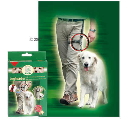 Laisse �ducative Leg Leader - r�glable de 39 � 60 cm, laisse : L 85 cm