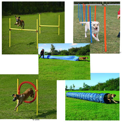 Kit complet Agility - le pack �conomique compos� de 5 �l�ments