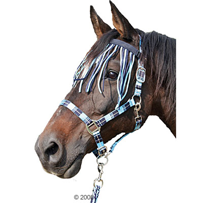 Kit d�t� : licol + frontal chasse-mouches + longe - - pur-sang, bleu clair/bleu marine