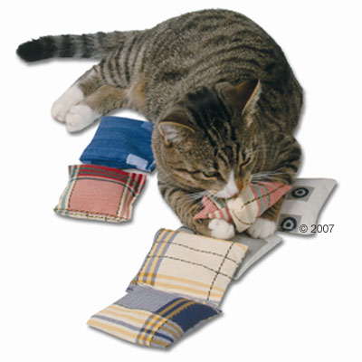 Coussin de jeu Baldrian pour chat Natural Kitty - pour chat adulte (8 g de val�riane)