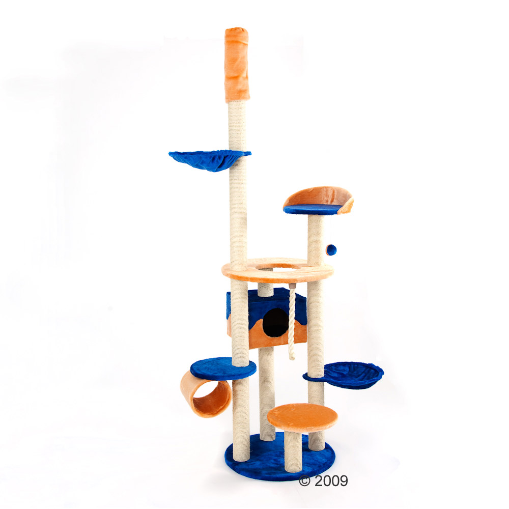 Arbre � chat Ambrosia - orange/bleu