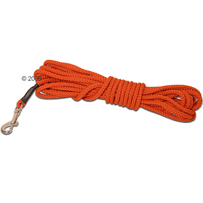 Longe pour chien orange - 0,6 cm de diam�tre x L 10 m