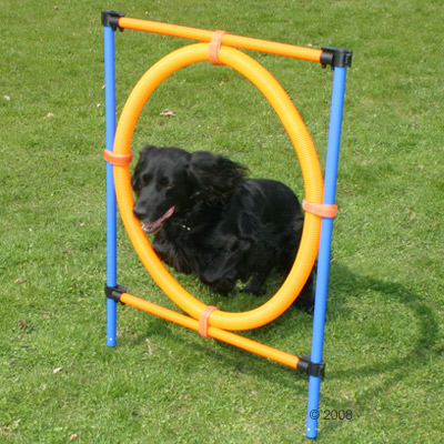 Cerceau Agility Fun & Sport - 1 cerceau