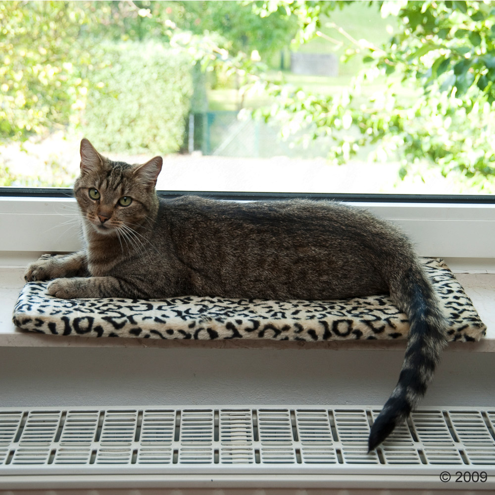 Tapis de fen�tre Adongo - L 60 x l 26 x H 2 cm