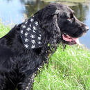 Bandana pour chien Jolly Roger - - 60 cm sans fermeture scratch
