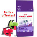 15 kg Royal Canin Size + balle de jeu Super Nose offerte ! - - medium Mature 25