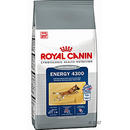 Royal Canin Energy 4300 - - 15 kg