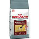 Royal Canin Energy 4800 - - 15 kg