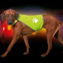 Gilet de s�curit� Safety-Dog - - taille M