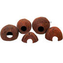 JBL Cocos Cava - - 1/1 (taille M)
