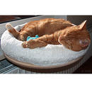Coussin de fen�tre Snugly - taille : env. 47 cm - Cliquez ici pour davantage d'informations sur ce produit
