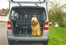 Grille de protection Maxi 10 traverses - - l 100 � 150 x H 85 � 130 cm