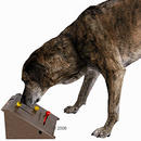 Jouet pour chien Dog Activity Kicker - - 26 x 15 x 24 cm