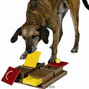 Jouet pour chien Dog Activity Poker Box - - 31 x 10 x 31 cm