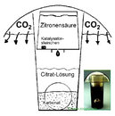 Söchting Carbonator Bio CO2 - - Carbonator