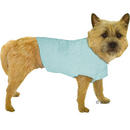 Chemise pour chien Good Boy - - longueur du dos : 32 cm
