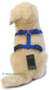 Harnais Hunter Vario Rapid, colori bleu - - Taille du poitrail 30-40 cm