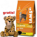 1,5 kg de croquettes Iams + gu�pard en peluche offert! - adulte au saumon 136368.5
