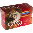 Lot de 4 saveurs Catessy Bouch�es en Sauce 12 x 100 g - lot �conomique 48 x 100 g (4 saveurs d�licie