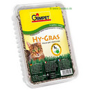 Herbe � chat Gimpet Hy-Gras 150 g - 1 x 150 g