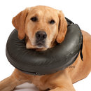 Collerette pour chien Comfy Collar - taille XS : 17 - 22 cm
