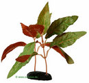 Alternanthera - plante aquatique artificielle - - H 15 cm